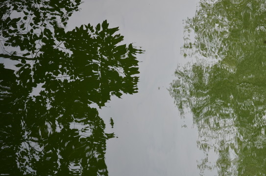 水中倒影