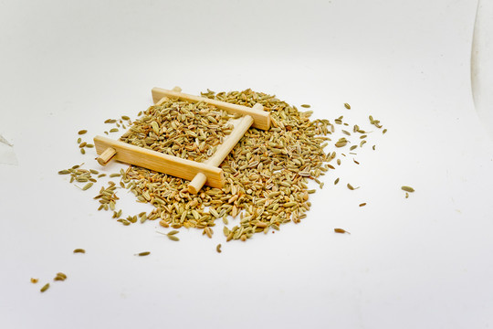 小茴香 高清大圖