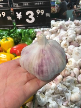 大蒜 蒜