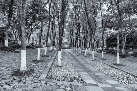 西湖柳浪聞鶯公園