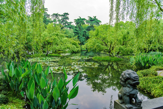 西湖萬(wàn)柳塘