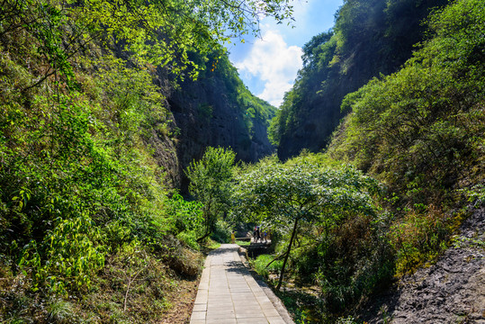 峽谷