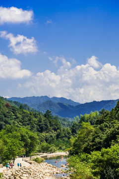 山中溪流