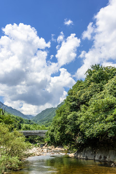 溪流