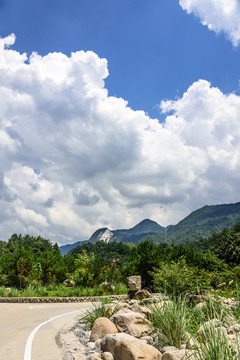 路景