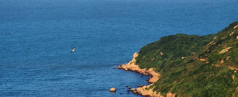 海洋海島