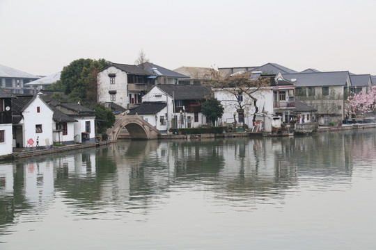 水鄉(xiāng)IMG0690