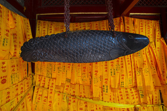 北京潭柘寺 石魚