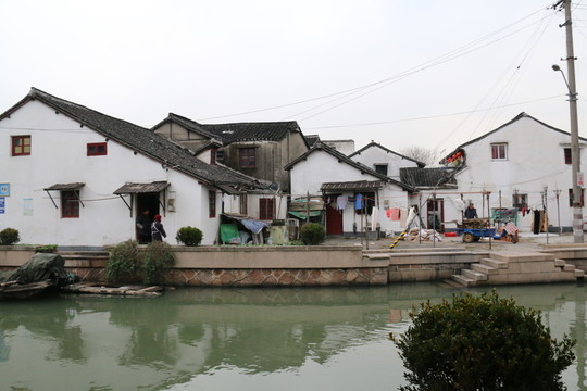 水鄉(xiāng)IMG0699