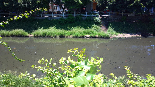 河中污水