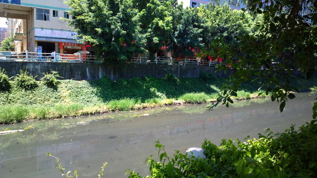 河道污染