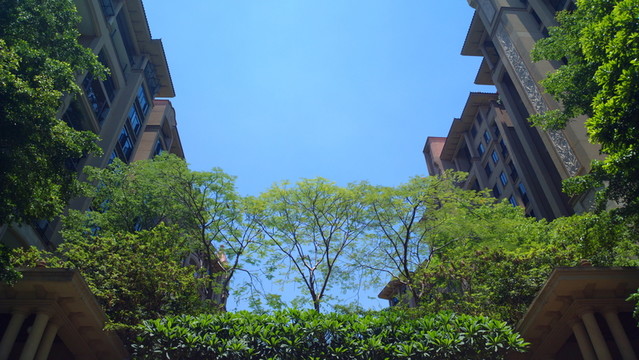 小區(qū)樓