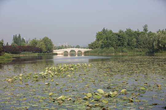 長沙洋湖濕地公園