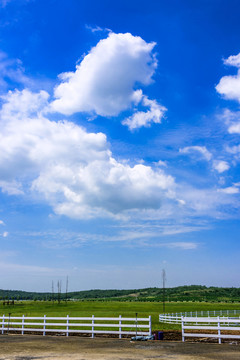 牧場