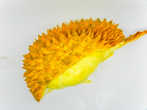 榴蓮素材 高清大圖