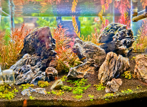 魚缸背景圖 魚缸造景 高清大圖