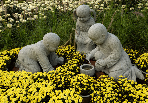 園林菊花