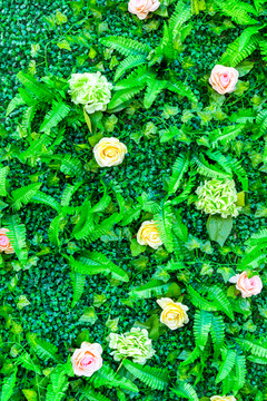 綠色植物墻