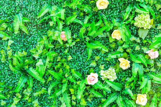 綠色植物墻