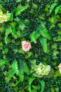綠色植物墻