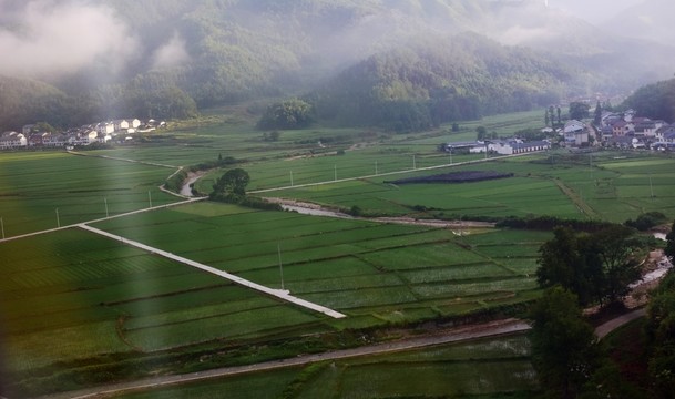 美麗田園田野