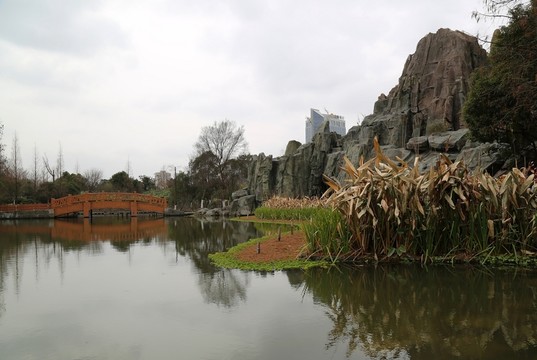 城市 園林 湖水 樹林