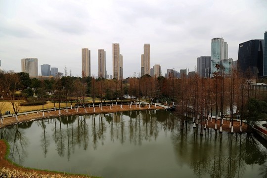 城市 園林 湖水 樹林 高樓