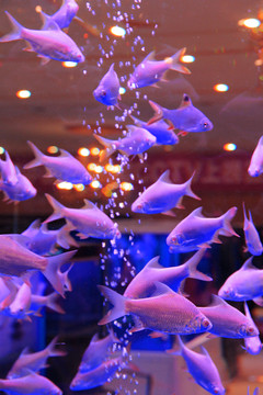 水族館