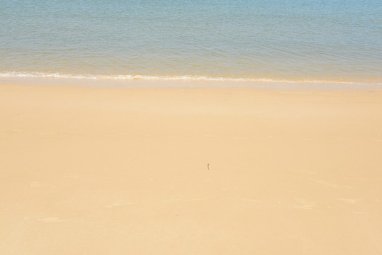 大海