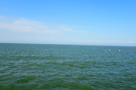 大海
