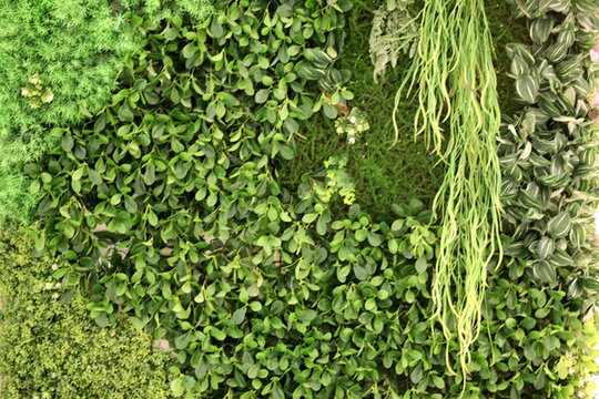 仿真綠植墻 綠墻 植物花墻 綠