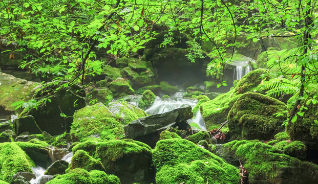 山間流水