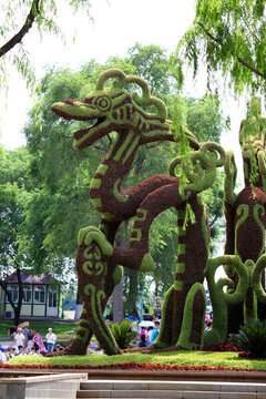 植物雕塑 坐龍 龍 植物