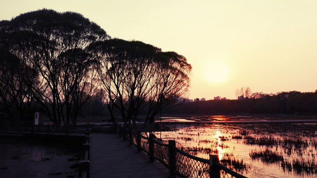 夕陽下的湖泊