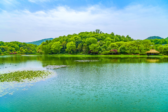 山水風(fēng)光