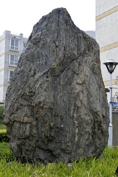 石頭 泰山石