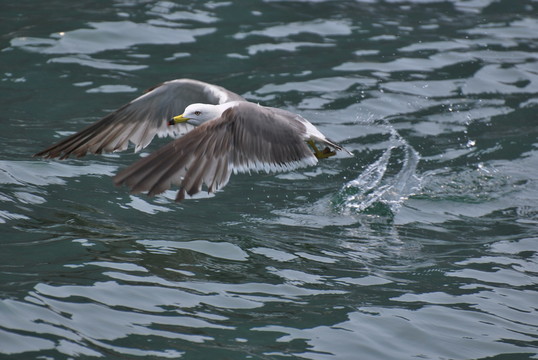 踏海
