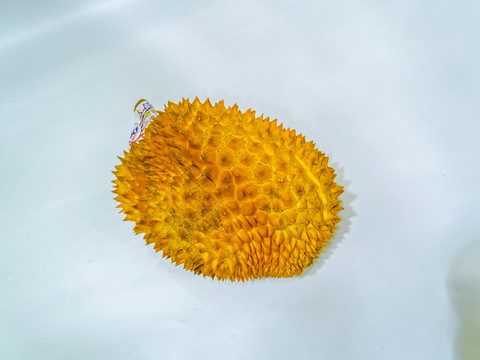 榴蓮 高清大圖
