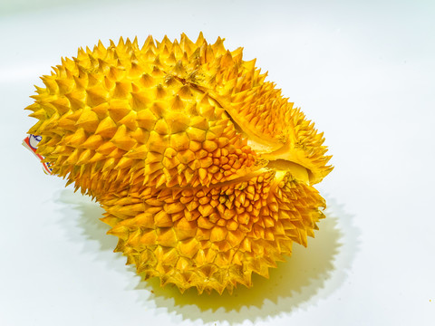 榴蓮 高清大圖