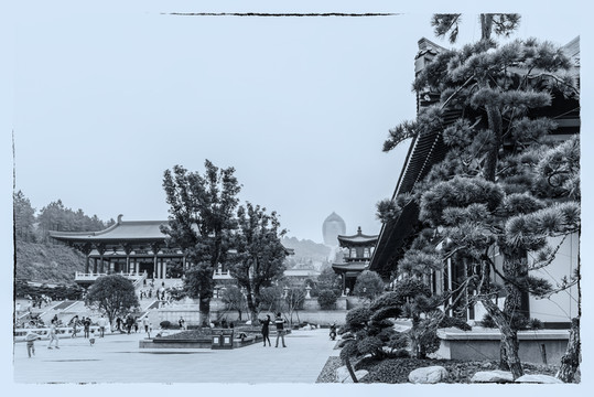 東林寺 東林大佛