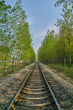 支線鐵路