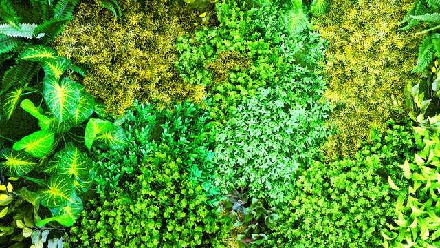綠植墻