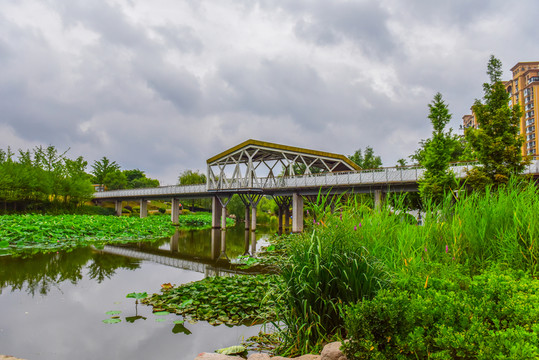 小區(qū)綠化 公園綠化