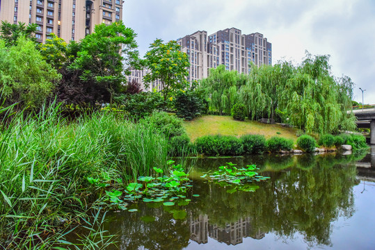 小區(qū)綠化 公園綠化