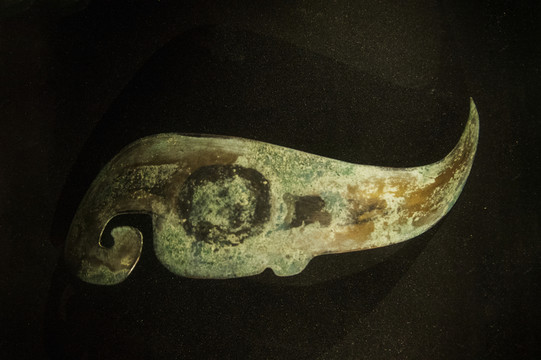 金沙遺址出土文物眼形青銅器