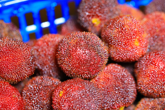 楊梅紅色