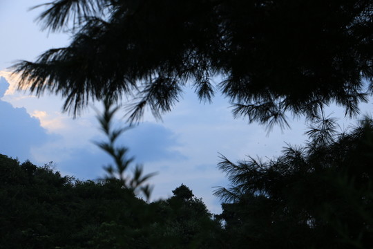 暮色