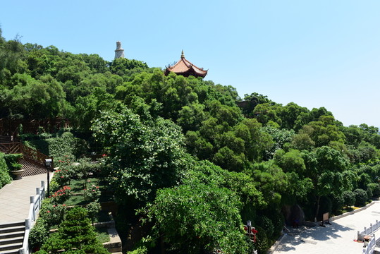 福建湄洲媽祖廟宇