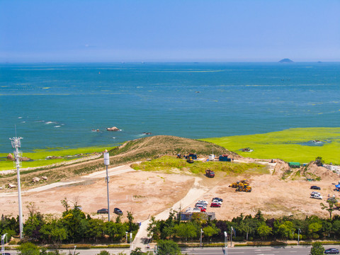 青島