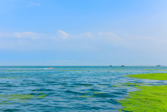 大海